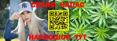 Альфа ПВП Малгобек
