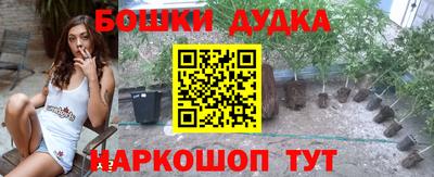 Альфа ПВП Малгобек