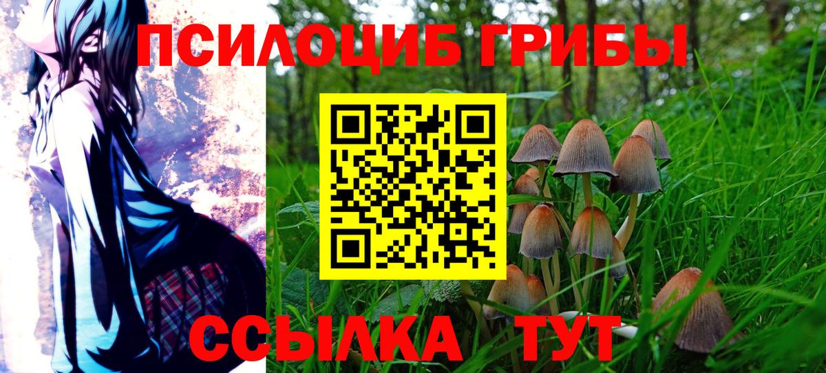 Галлюциногенные грибы мицелий  Вход с VPN  Грязи 
