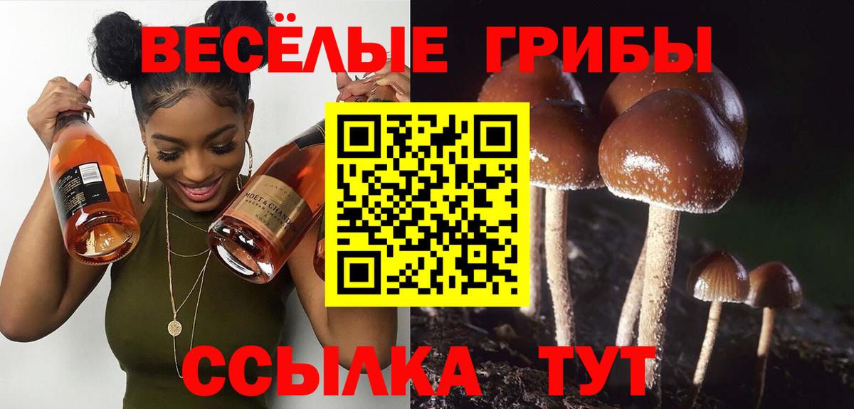 Галлюциногенные грибы ЛСД Грязи